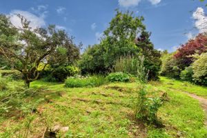 Garden- click for photo gallery